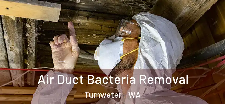  Air Duct Bacteria Removal Tumwater - WA