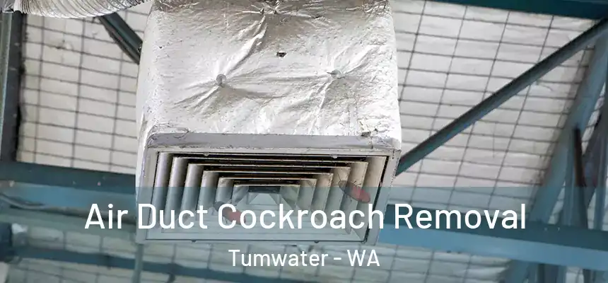  Air Duct Cockroach Removal Tumwater - WA