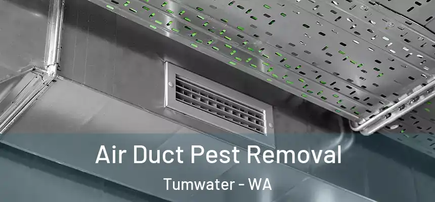  Air Duct Pest Removal Tumwater - WA