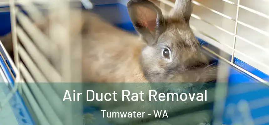  Air Duct Rat Removal Tumwater - WA