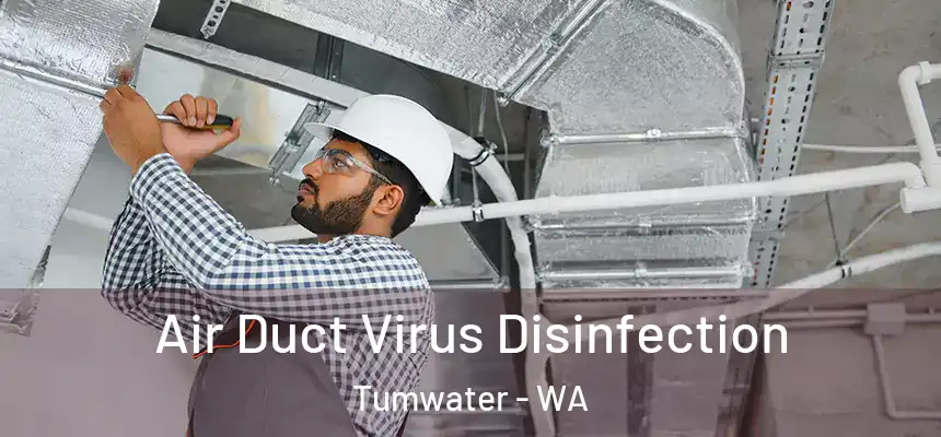  Air Duct Virus Disinfection Tumwater - WA