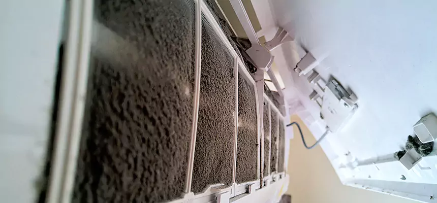 Preventive Air Duct Bacteria Removal in Tumwater