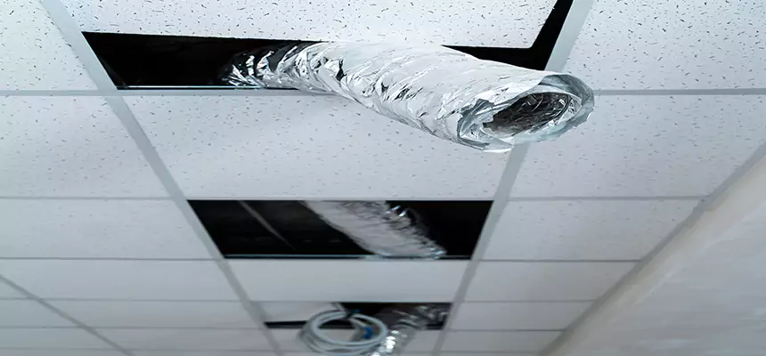 Our Air Duct Pet Hair Removal Services in Tumwater, WA