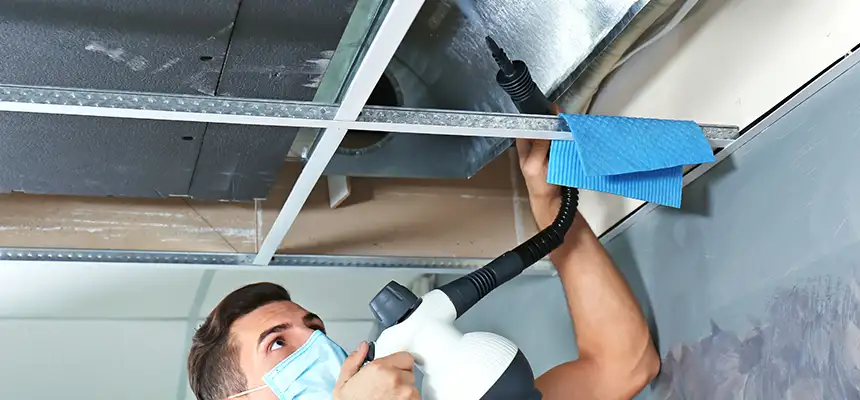 Our Air Duct Rodent Removal Services in Tumwater, WA