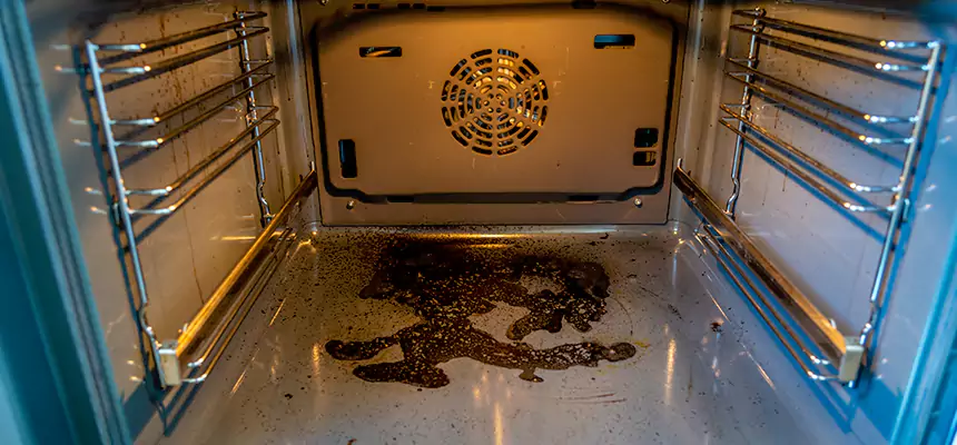 Our Air Purifier Installation Services in Tumwater, WA