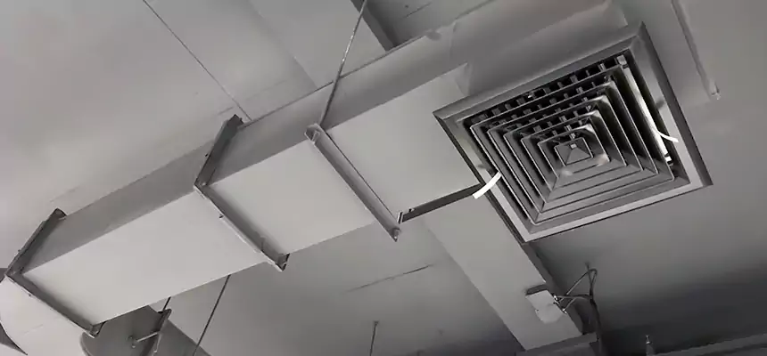 Restorative Allergy Relief Vent Cleaning – Coil, Blower & Housing Detail in Tumwater