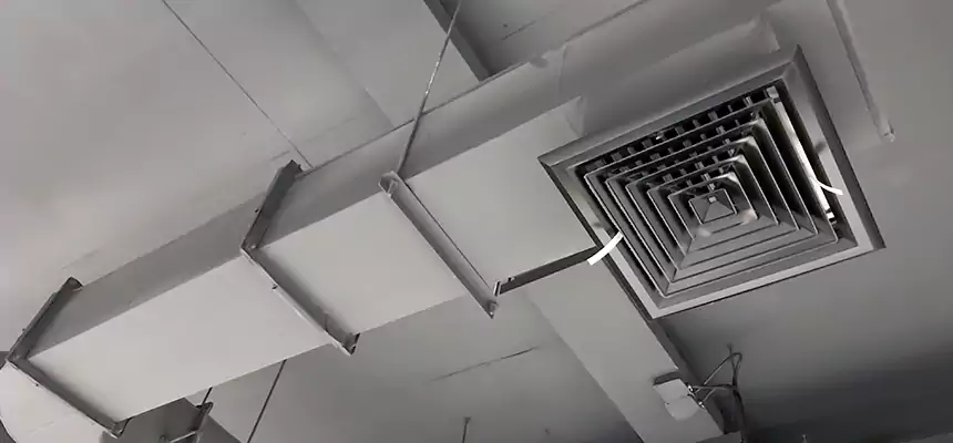 Our Pest Removal From Ducts Services in Tumwater, WA