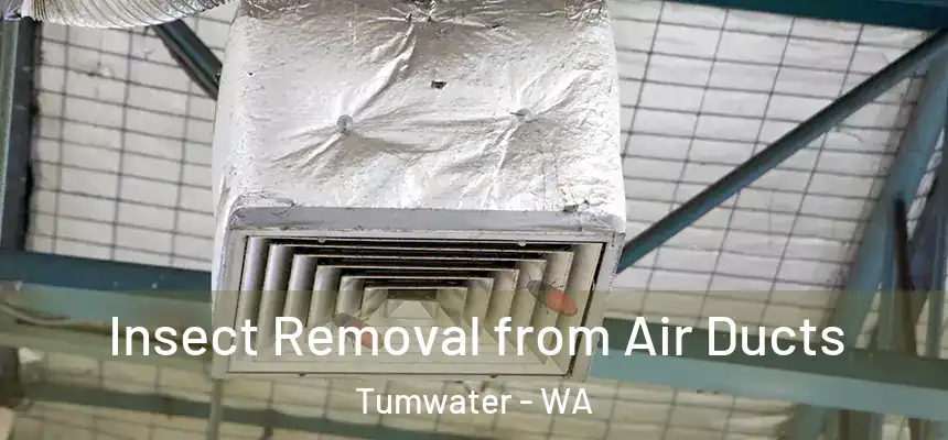  Insect Removal from Air Ducts Tumwater - WA