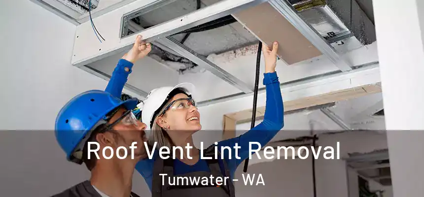  Roof Vent Lint Removal Tumwater - WA