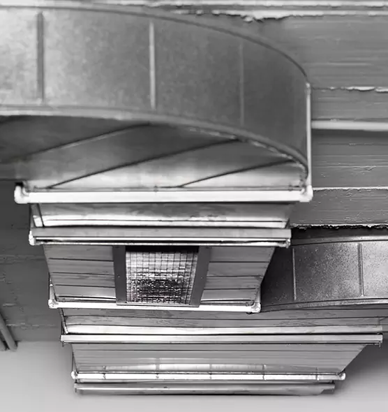 Professional Air Duct Pest Removal in Tumwater, WA