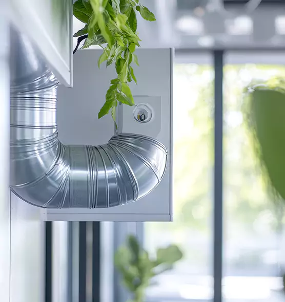 Professional Eco-Safe Dryer Vent Cleaning in Tumwater, WA