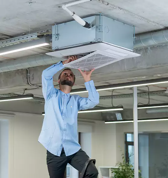 Advanced Rodent Droppings In Vents in Tumwater, WA