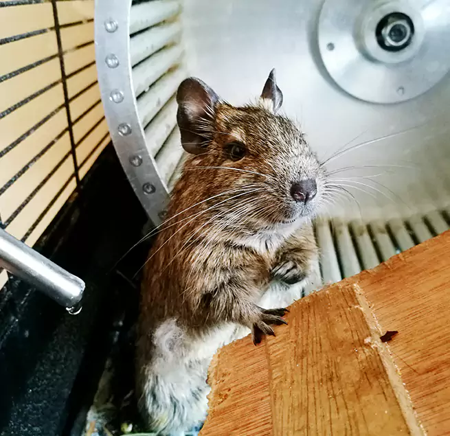 Why Homeowners & Businesses Trust Us Tumwater, WA