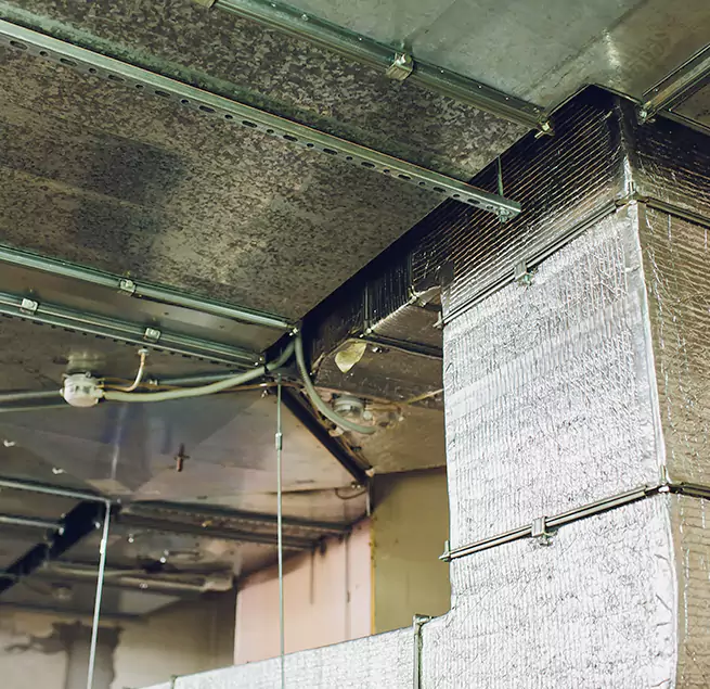 Why Homeowners & Businesses Trust Us in Tumwater, WA?